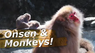 A Day Of Onsen and Monkeys With My Japanese Girlfriend