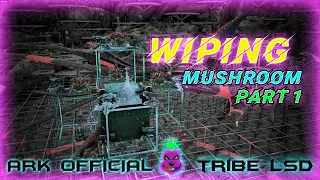 WIPING Mushroom #1 | PART1 | ARK OFFICIAL PVP | Small Tribes | Tribe LSD