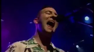 Reel Big Fish - The Set Up (You Need This) (Live)