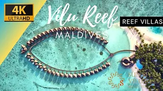 Sun Siyam VILU REEF Maldives 4K 🌞REEF Villa | Overwater Room TOUR UHD | Vlog Maldives Islands