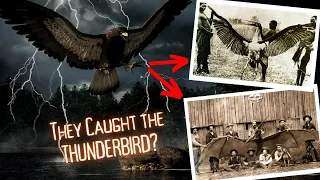 A Giant Bird & Western Legend | THE THUNDERBIRD