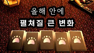 [타로] 올해 안에 펼쳐질 큰 변화