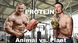 Protein Quality: Animal Versus Plant