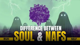 UNLOCKING THE DIFFERENCE BETWEEN SOUL AND NAFS - ISLAM QA