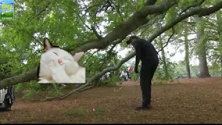 Top 10 Golf Fails Compilation (2018 Masters)