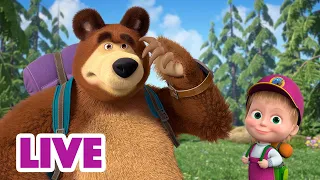 🔴 LIVE STREAM 🎬 Masha and the Bear 🤗 Always together 🙆🙌