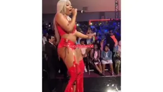 Megan thee stallion performing