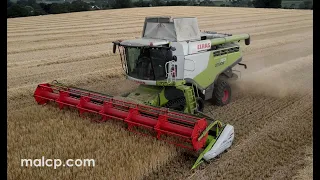 Harvest 2022: Claas Lexion 750 TT harvesting winter barley on a dull day in Suffolk