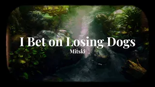 I Bet on Losing Dogs - Mitski