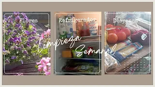 LIMPIEZA semanal de mi REFRIGERADOR ✨ La DESPENSA 🛍️🛒 y mis PLANTAS 🪴🪻🍃