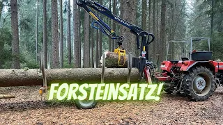 Forsteinsatz! Let's Säg Stihl MS 066+ Drive Massey Ferguson 254s + Rückewagen