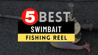 Best Swimbait Reel 2021 🔶 Top 5 Best Swimbait Reels Review