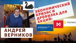 Андрей Верников - Экономический кризис и дробилка для акций!