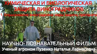 Опрыскивание виноградников, меры защиты, препараты (Пузенко Наталья Лариасовна)