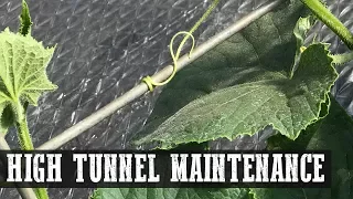 High Tunnel Maintenance