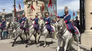 Angry Horse at Changing of the Guard Ceremony