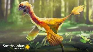 Prehistoric Dinosaur Bird Fossils Found in China Are Amazingly Detailed | Smithsonian Channel