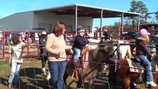 NC Work Horse and Mule Association Plow Day