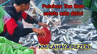 Begini Proses Nelayan Aceh  bongkar ikan hasil tangkapan pukat cincin di TPI LAMPULO BANDA ACEH