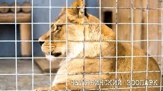 Челябинский Зоопарк - 2013