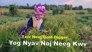 Txiv Neej Gold Digger Yog Nyav Noj Neeg Kwv~01/29/2024~