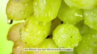 Caudalie - Die Geheimnisse der Weinrebe - Weintraubenwasser