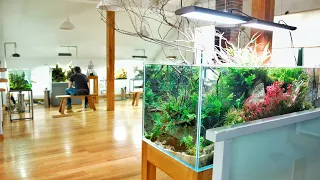 AMAZING AQUASCAPE GALLERY - Full Tour Special Edition