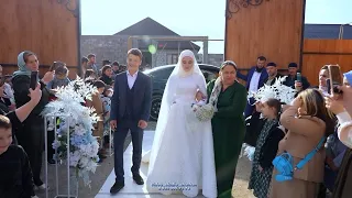 Очень Красивая Чеченская Свадьба 2023 в Грозном. Видео Студия Шархан