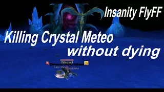 Insanity FlyFF - Crackshooter is killing Crystal Meteo without dying
