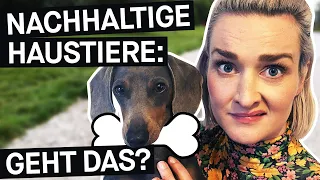 Haustiere & Nachhaltigkeit: Wie umweltfreundlich sind unsere Vierbeiner? || PULS Reportage