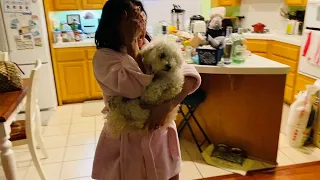 Emotional Reunion With Dog After Being Missing for 12 Days || ViralHog