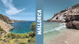 Неделя на острове Майорка 🌊🌴 🥥