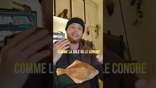 La pêche des poissons pélagiques !