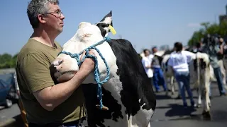 Hungarian and Polish farmers stage protest on border with Ukraine