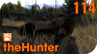 THE HUNTER #114 - GRIZZLY beim ANSITZ! 🐗 || Let's Play The Hunter || German