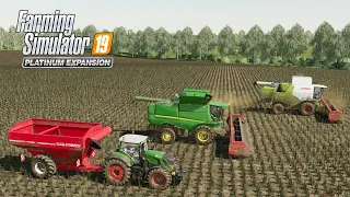 FS19 Timelapse #44 Новгородовка, Закончили убирать поле с подсолнухами