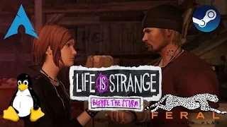 Life is Strange: Before the Storm - Linux | Gameplay