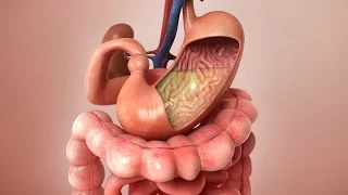 Aspirin Journey through the body - 3D Animation