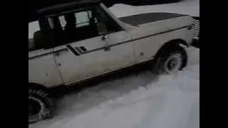 International Scout playing in the snow