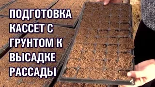 Высадка рассады - подготовка кассет с грунтом.🍓🍅