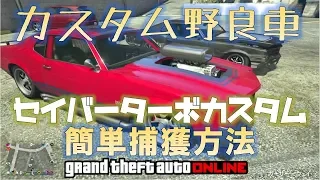 【GTA5】テグラス セイバーターボ カスタム野良車簡単ＧＥＴ プチお金稼ぎ （検索） 神マネーグリッチ 1.45 グラセフ5 裏技 トリック ＧＴＡオンライン