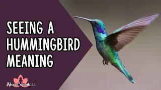 Seeing a Hummingbird Meaning