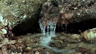 Soothing Sounds Relaxation Techniques with Trickling Water  Stress Relief