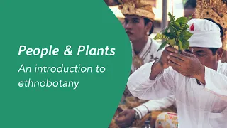 People and Plants, an introduction to ethnobotany