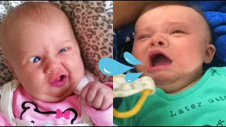 🤧🤧🤧Adorable babies sneezes shake heaven and earth 💦💦💦 - Funny Babies Sneezing - Funny Pets Moments