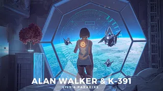 Alan Walker & K-391 - Lily's Paradise (Albert Vishi Mashup)