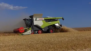 Žně Agro Měřín 2023|Claas Lexion 6800, 760, 750 & MF 7618+ZDT NS18.1