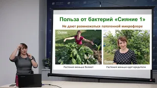 Биопрепараты Сияние.  Где использовать и как применять