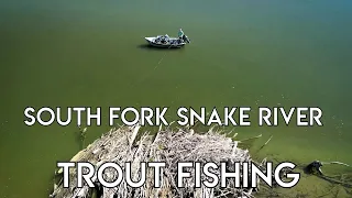 The Snake River Trout Fishing | Eastern Idaho