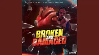 Broken and Damage